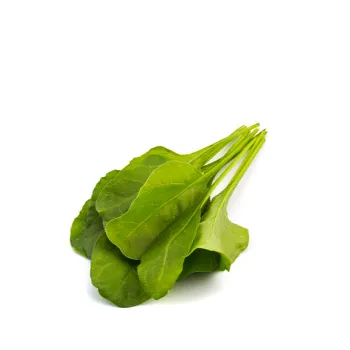 Spinach-18-6269396-91831.webp