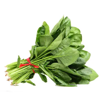 Spinach-19-5266667-22719.webp