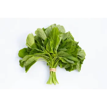 Spinach-21-7323895-91166.webp