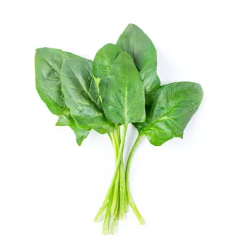 Spinach-22-5092875-34437.webp