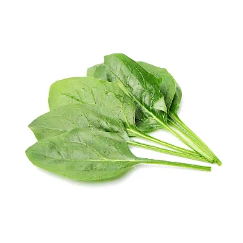 Spinach-23-484177-63387.webp