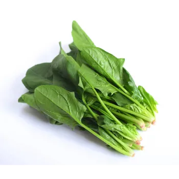 Spinach-24-3308181-29258.webp