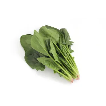Spinach-25-6955664-52132.webp