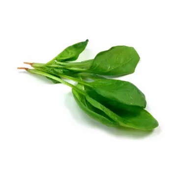 Spinach-26-9857210-5527.webp