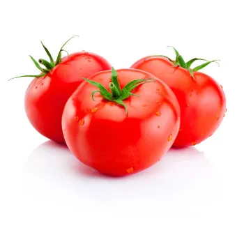 Tomato05-7049558-14390.webp