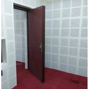 Plain Acoustical Doors acoustical-doors-4-6570046-76328.webp