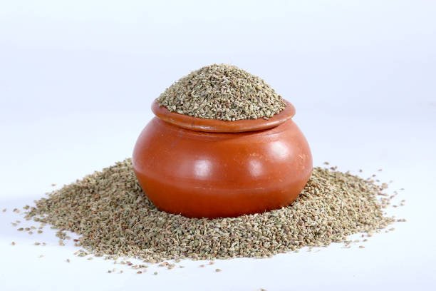 Fresh Ajwain ajwain-23-2479197-72346.jpg