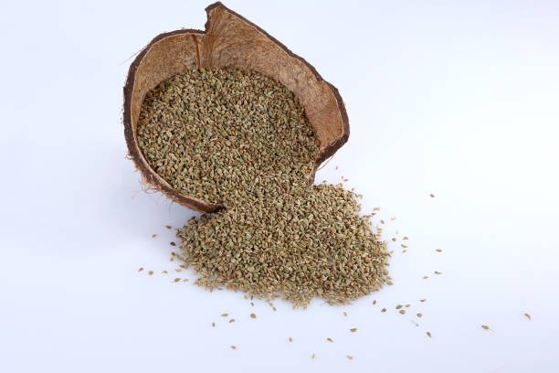 Common Ajwain ajwain-37-8809263-90792.jpg