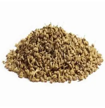 Fresh Ajwain ajwain60-8657149-22052.webp