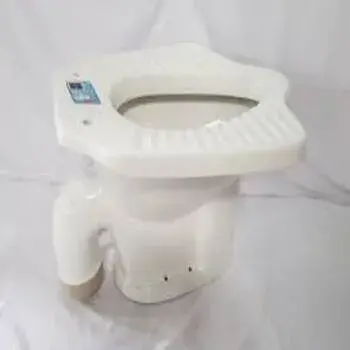 Anglo Indian Toilet Seat anglo-indian-toilet-seat01-5409460-81891.webp