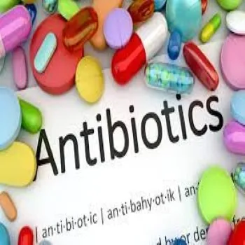 Antibiotic Drugs antibiotic-drugs52-5524230-9017.webp