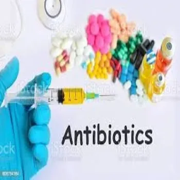 Antibiotic Drugs antibiotic-drugs83-2389154-88800.webp
