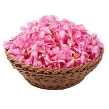 Fresh Arali Flowers arali-flower-2452704-57758.webp