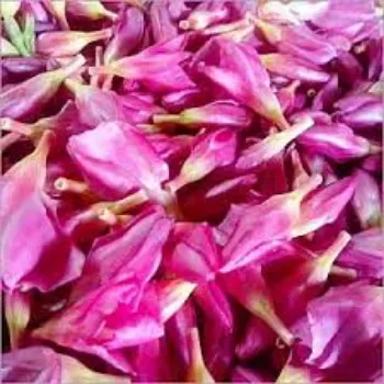 Fresh Arali Flowers arali-flowers-05-6790942-76701.webp
