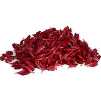 fresh Arali Flowers arali-flowers-07-3748835-76871.webp