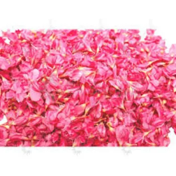Fresh Arali Flowers arali-flowers-08-2430993-32300.webp