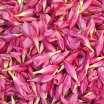 Red Arali Flowers arali-flowers-08-5081279-11577.webp