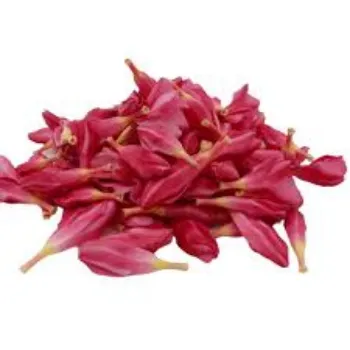 Arali Flowers arali-flowers-10-1121370-73452.webp