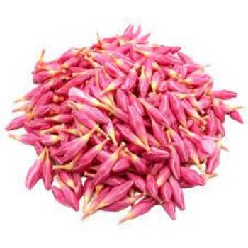 fresh Arali Flowers arali-flowers-2-430403-82022.webp