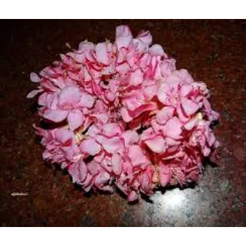 Natural Arali Flowers arali-flowers-38-2583936-3103.webp