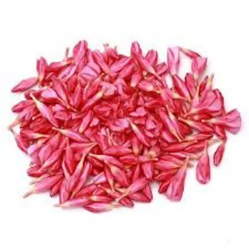 fresh Arali Flowers arali-flowers-4-3131341-41399.webp