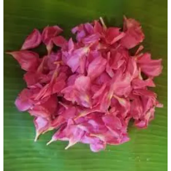 Organic Arali Flowers arali-flowers-43-5713986-41189.webp