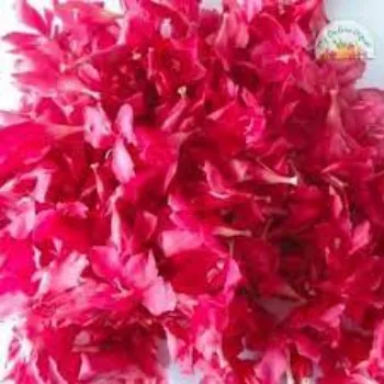 Arali Flowers arali-flowers-5-2948669-60562.webp