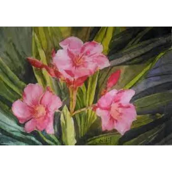 Fresh Arali Flowers arali-flowers-6-7395450-60323.webp