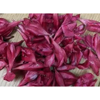Arali Flowers arali-flowers-7-1456909-21810.webp