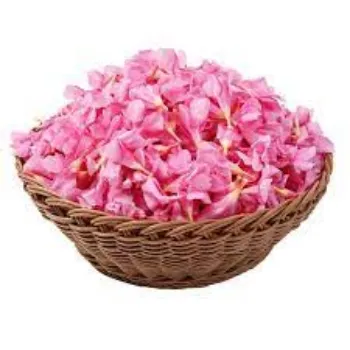 Common Arali Flowers arali-flowers04-1084177-84775.webp