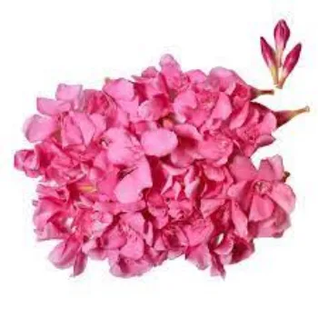Organic Arali Flowers arali-flowers06-1825574-73353.webp