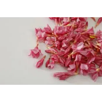 Common Arali Flower arali-fool10-1329629-48639.webp
