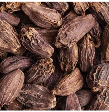 Natural Badi Elaichi badi-elaichi46-5836535-51120.webp