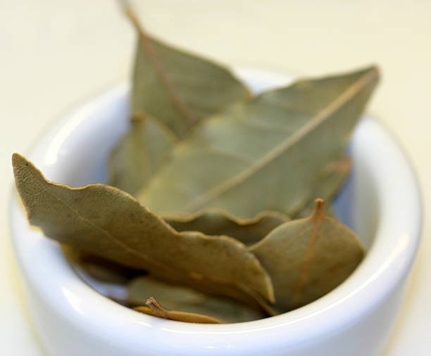 Fresh Bay Leaf bay-beaf-08-2234856-68515.jpg