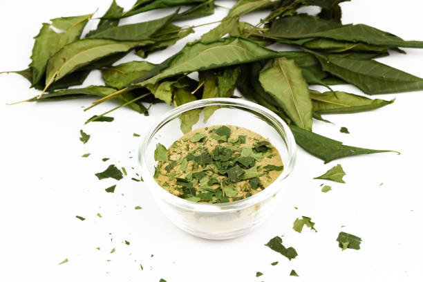 Organic Bay Leaf bay-beaf-36-1534000-5095.jpg