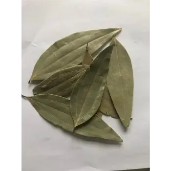Bay Leaf bay-leaf-09-7534200-95103.webp