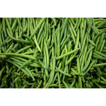 Organic Frozen Beans beans-09-3302213-2284.webp