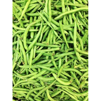 Natural Frozen Beans beans-19-8101901-51235.webp