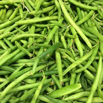 Natural Frozen Beans beans-27-5000526-51532.webp