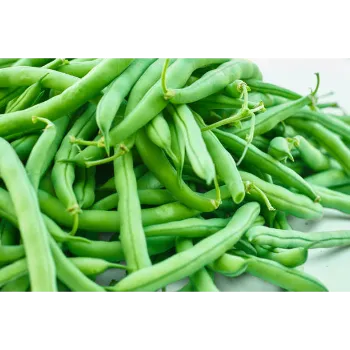 Organic Frozen Beans beans04-2541987-23688.webp