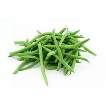 Frozen Green Beans beanss1-515613-6696.webp