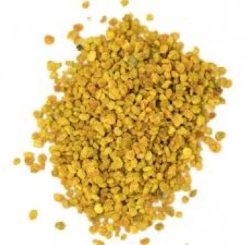 bee-pollen01-1509059-94901.webp