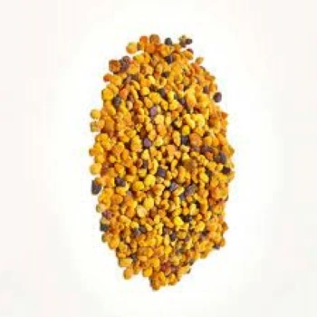 bee-pollen02-6523416-45115.webp