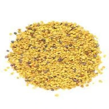 bee-pollen03-2226180-99270.webp