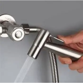 bidet-02-1235555-75453.webp