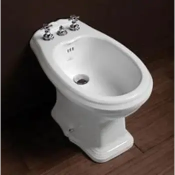 bidet-07-3464535-16908.webp
