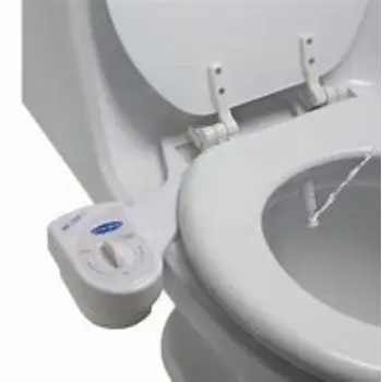 bidet-1-1307294-63352.webp