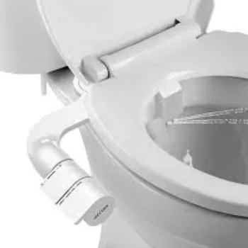 bidet-1-4580283-66633.webp