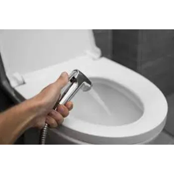 bidet-1-5183482-80601.webp