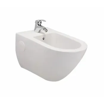 bidet-1-5387529-51335.webp